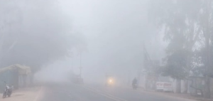 छतरपुर में घने कोहरे और धुंध से ढकी एक सड़क का दृश्य है। विजिबिलिटी इतनी कम है कि दूर के पेड़ और इमारतें केवल धुंधली परछाई जैसी दिख रही हैं। सड़क के बीच में एक वाहन की हेडलाइट जलती हुई दिखाई दे रही है, जो कोहरे में रास्ता खोजने की कोशिश कर रहा है। सड़क किनारे कुछ साइनबोर्ड और पेड़ दिखाई दे रहे हैं, जो पूरी तरह सफेद धुंध की चादर में लिपटे हुए हैं।