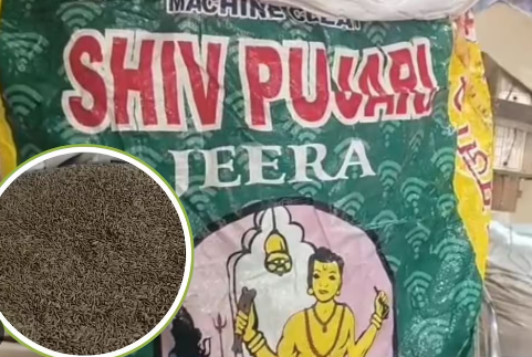 यह चित्र किसी गोदाम या दुकान में रखे गए मसालों के बोरों का है। मुख्य भाग में एक बड़ा हरा और सफेद रंग का बोरा दिखाई दे रहा है, जिस पर बड़े लाल अक्षरों में "SHIV PUJARI" और उसके नीचे "JEERA" (जीरा) लिखा हुआ है। बोरे पर एक धार्मिक चित्र (भगवान शिव के स्वरूप जैसा) भी छपा है। छवि के निचले बाएं कोने में एक गोलाकार 'इन्सर्ट' (Inlet) फोटो है, जिसमें भारी मात्रा में गहरे भूरे रंग का जीरा दिखाया गया है। यह चित्र संभवतः खाद्य विभाग द्वारा मिलावटी मसालों के खिलाफ की गई छापेमारी या ज़ब्ती की कार्यवाही से संबंधित है।