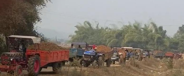 एक ग्रामीण या अर्ध-शहरी इलाके का दृश्य है जहाँ ट्रैक्टर-ट्रॉलियों की एक लंबी कतार सड़क पर खड़ी है। सभी ट्रॉलियाँ मिट्टी या रेत (sand) से पूरी तरह भरी हुई हैं। कतार में लाल, नीले और अन्य रंगों के कई ट्रैक्टर दिखाई दे रहे हैं। अग्रभूमि में एक लाल ट्रैक्टर खड़ा है, जबकि पीछे की ओर कई अन्य ट्रैक्टर लाइन में लगे हैं। पृष्ठभूमि में घने पेड़ और बांस की झाड़ियाँ दिखाई दे रही हैं, और आसमान धुंधला है। यह दृश्य संभवतः अवैध उत्खनन या निर्माण सामग्री के परिवहन से संबंधित किसी घटना या जांच को दर्शाता है