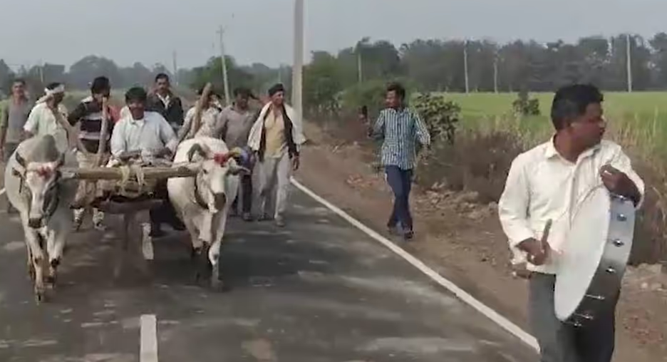 एक पक्की सड़क पर ग्रामीण परिवेश का दृश्य है, जहाँ पुरुषों का एक समूह बैलगाड़ी के साथ चल रहा है। दाईं ओर अग्रभूमि में, एक व्यक्ति सफेद शर्ट पहने हुए एक बड़ा चांदी जैसा ड्रम नगाड़ा बजा रहा है। बाईं ओर, सफेद रंग के दो बैल, जिनके माथे पर लाल रंग के टीके लगे हैं, एक लकड़ी की गाड़ी खींच रहे हैं। गाड़ी के साथ और पीछे कई लोग चल रहे हैं, जिनमें से कुछ कैमरे की ओर देख रहे हैं। सड़क के किनारे हरे-भरे खेत, पेड़ और बिजली के खंभे दिखाई दे रहे हैं। आसमान धुंधला है और रोशनी से ऐसा प्रतीत होता है कि यह दिन का समय है। यह दृश्य किसी स्थानीय उत्सव, विरोध प्रदर्शन या पारंपरिक ग्रामीण यात्रा जैसा लग रहा है।