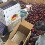 ट्रंप की अपनी ही सेना पर ‘सर्जिकल स्ट्राइक’: आर्मी चीफ रैंडी जॉर्ज को किया फायर, ईरान जंग के बीच बड़ी कार्रवाई